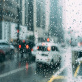 Beste reistijd voor een vakantie in Nederland en tips om regen te vermijden