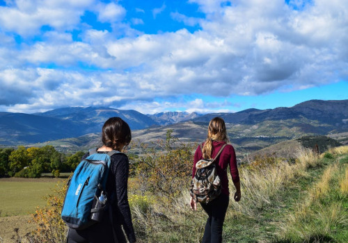 Backpacken naar Nieuw-Zeeland? Een avontuur voor het leven!